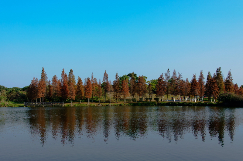 东莞松山湖杂片