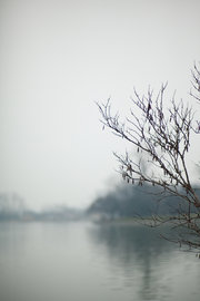 玄武湖 . 冬