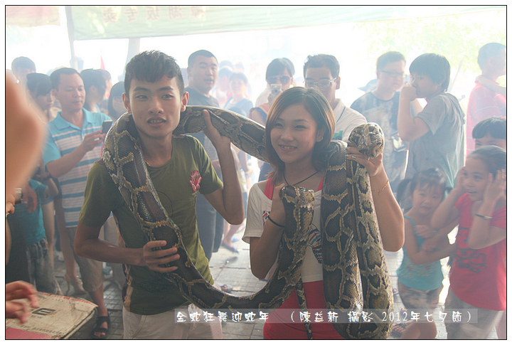 【金蛇狂舞迎新春摄影图片】南平新市樟湖板镇