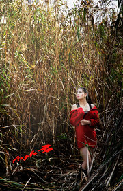 芦苇丛中的红衣女孩