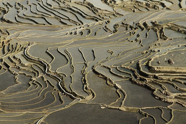 大地彩绘