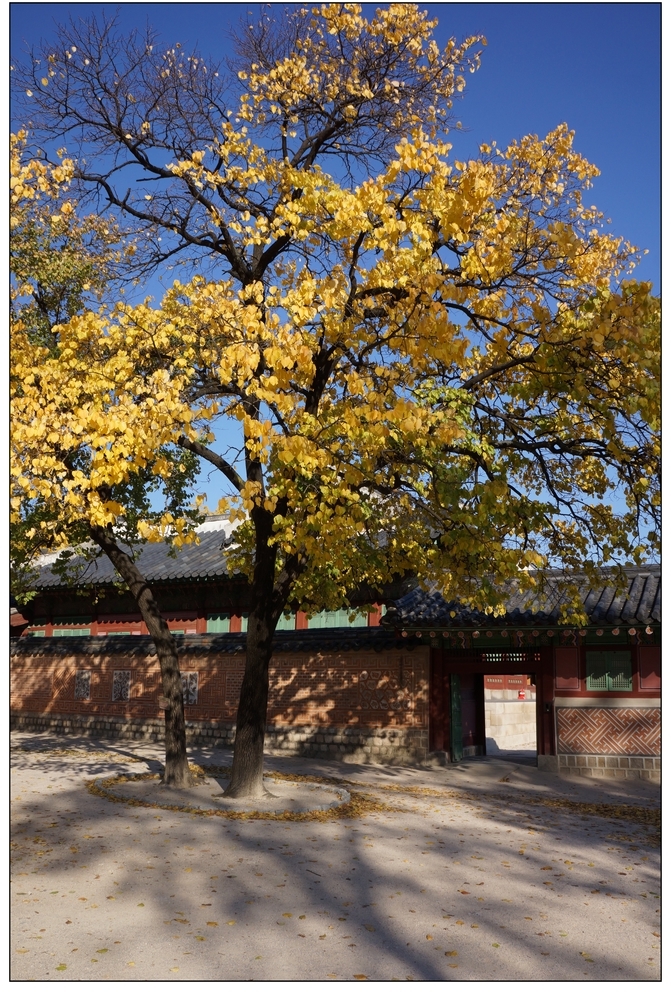 【韩国游摄影图片】首尔济州岛风光旅游摄影_