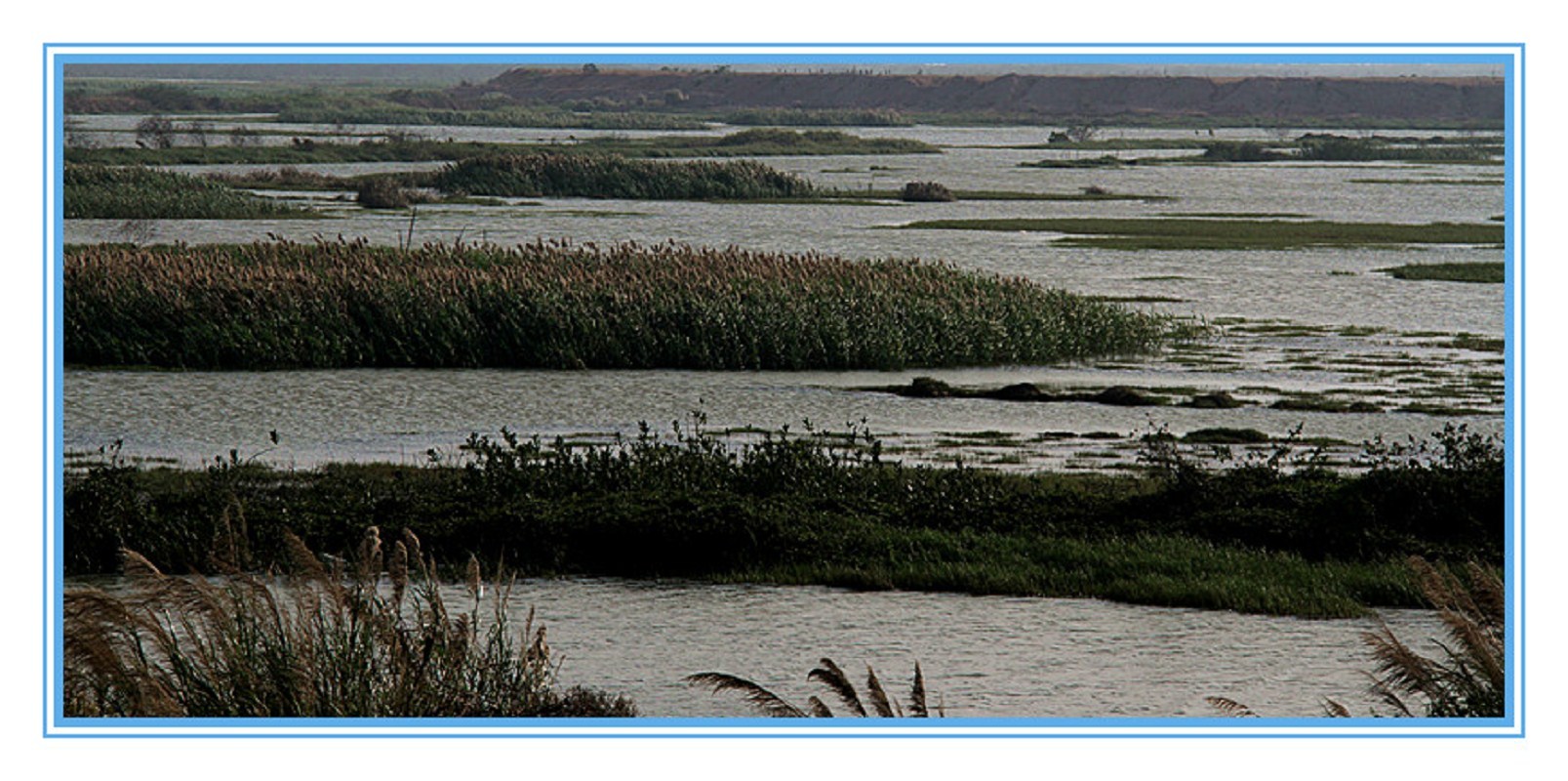 黄昏的银湖湾湿地公园