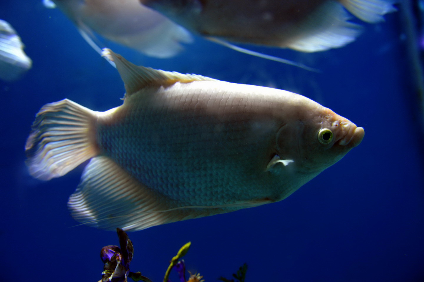 【徐州《水族馆》摄影图片】徐州云龙湖水族馆风光_卮