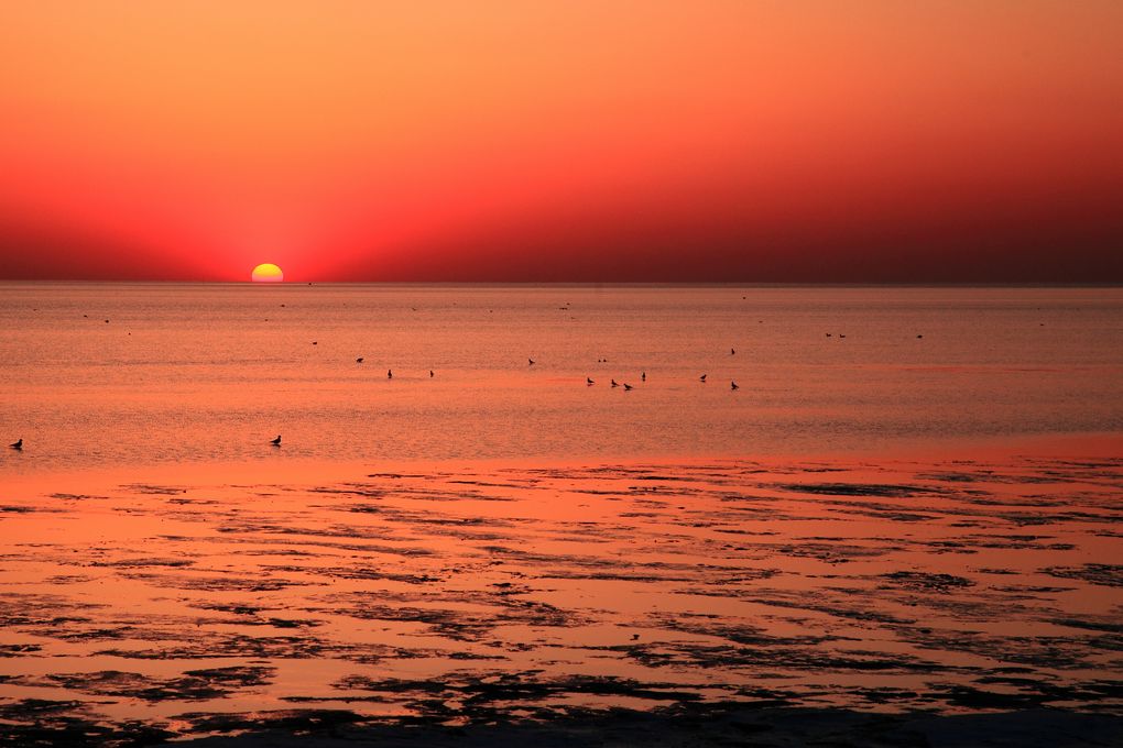 【冬日夕阳红摄影图片】鲅鱼圈仙人岛纪实摄影