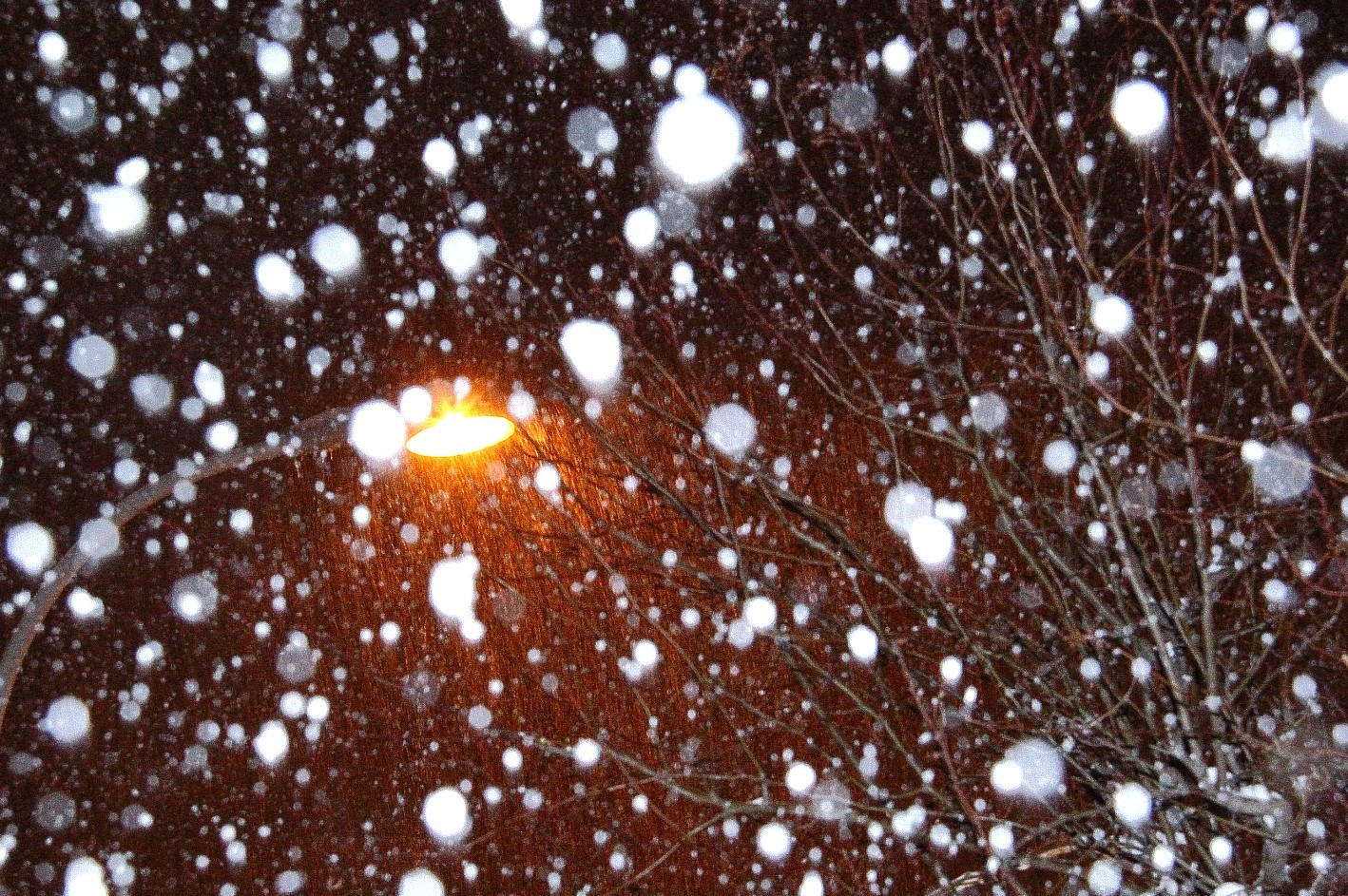 风雪夜归人