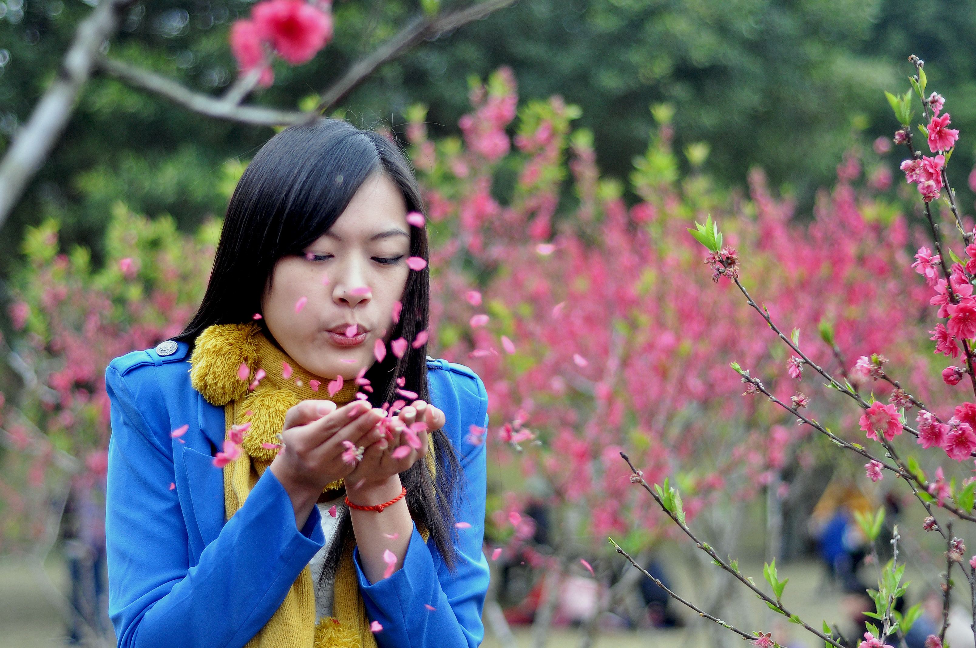 桃花映红了姑娘的脸庞