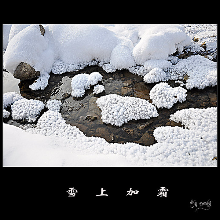 雪上加霜_动植物与微距论坛_太平洋电脑网产品论坛