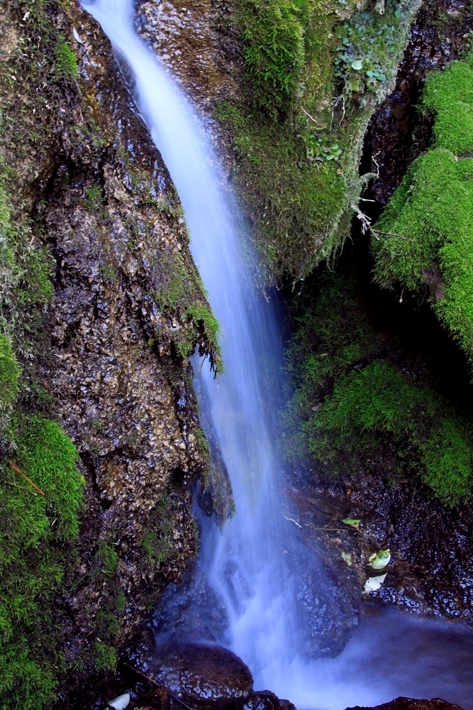 【小溪淌出欢快的歌摄影图片】水洞坑生态摄影