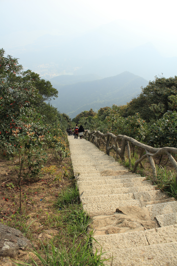 深圳梧桐山风景