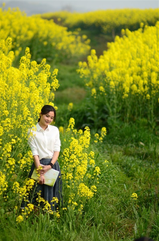 油菜花田的世界