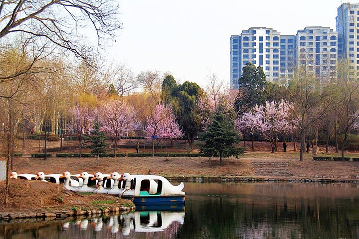 【寻觅桃花盛开的地方摄影图片】鹤壁山城区纪