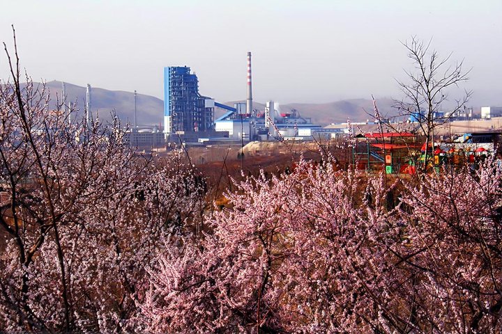【寻觅桃花盛开的地方摄影图片】鹤壁山城区纪