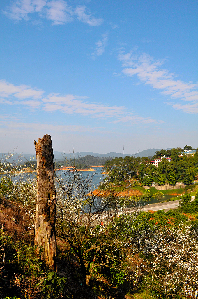 从化美景