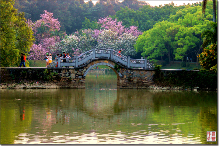 【春光明媚摄影图片】华南植物园风光旅游摄影