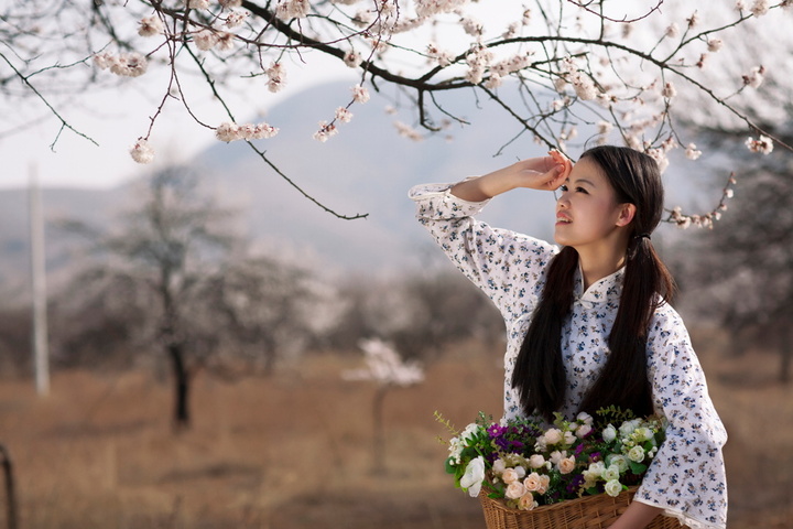 杏园春花秀女醉