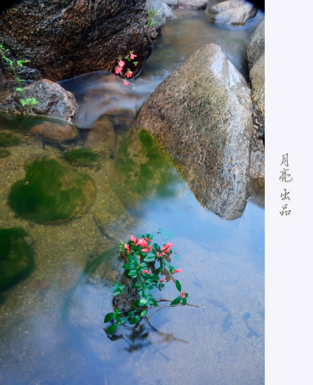 落花有意,流水无情