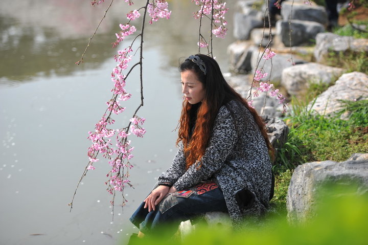 【我和春天有个约会摄影图片】武汉东湖樱花园