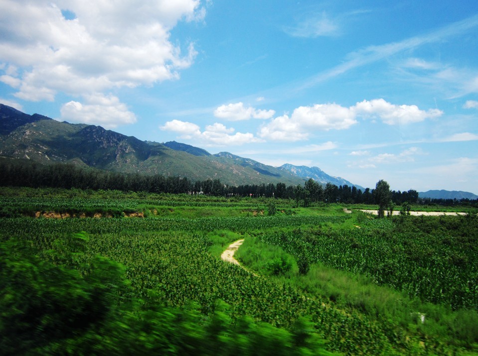 车外风景