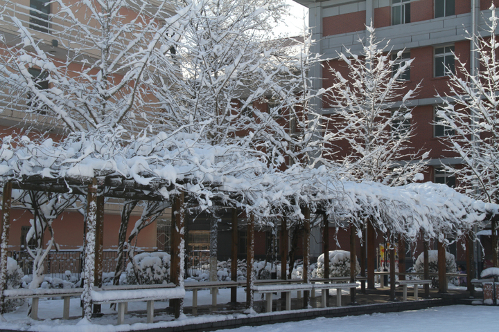 北京雪景