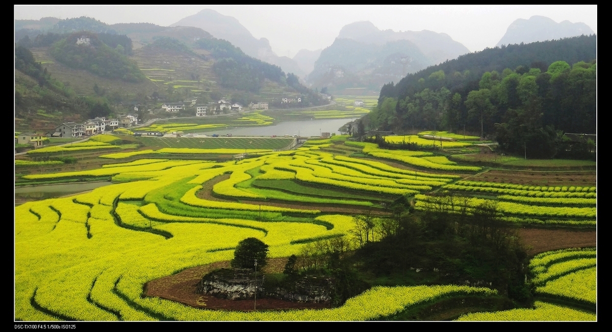 【乡村游摄影图片】遵义松林风光旅游摄影