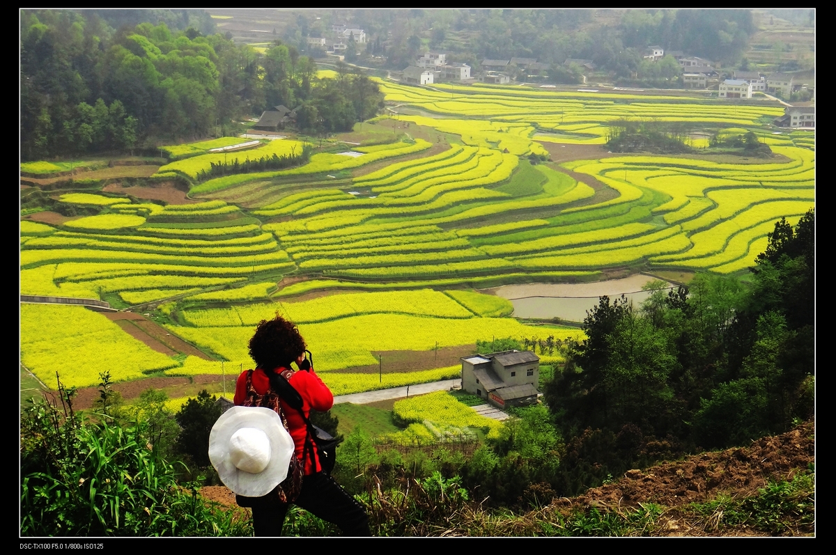【乡村游摄影图片】遵义松林风光旅游摄影