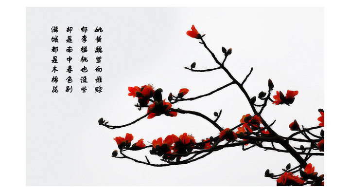 【《 红棉 》国画版木棉花习作摄影图片】深圳