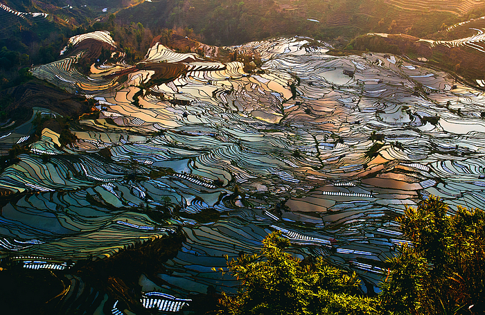 【神奇七彩田摄影图片】元阳风光旅游摄影_修