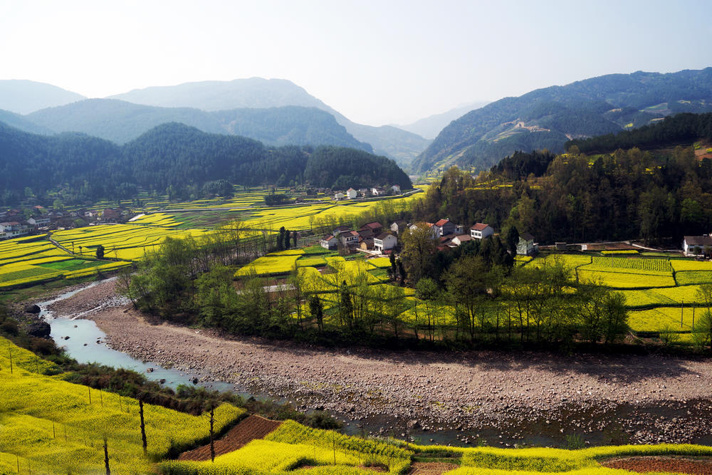 【汉中油菜花摄影图片】汉中风光旅游摄影