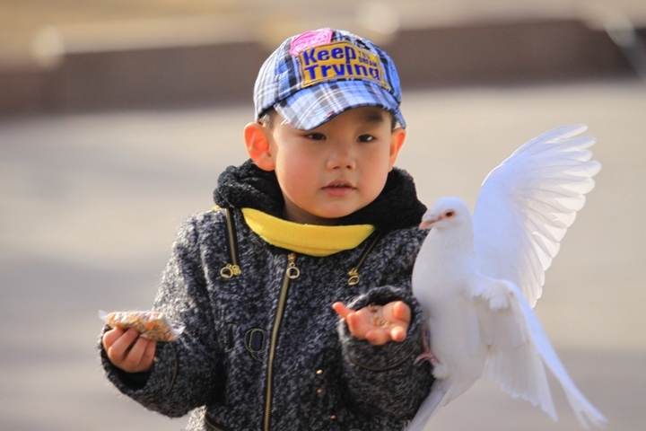 【再拍孩子与鸽子摄影图片】内蒙古包头市纪实