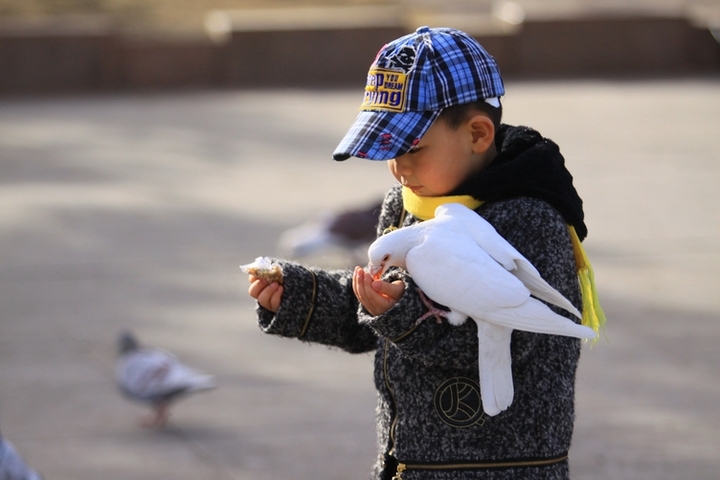 【再拍孩子与鸽子摄影图片】内蒙古包头市纪实