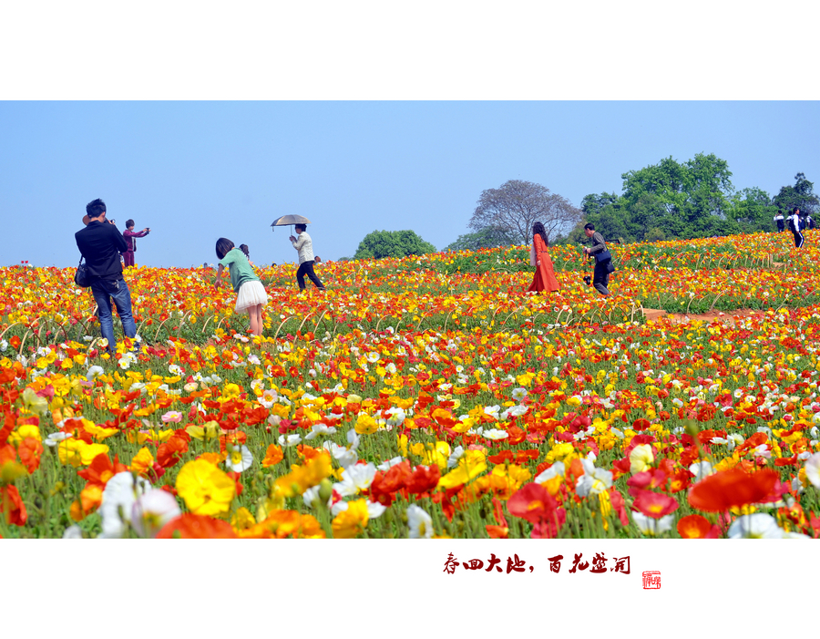 春回大地,百花盛开