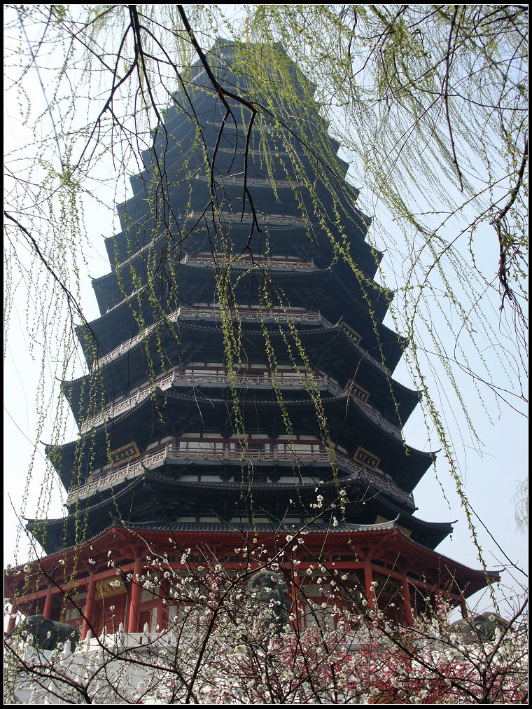 赏梅_春游常州天宁寺