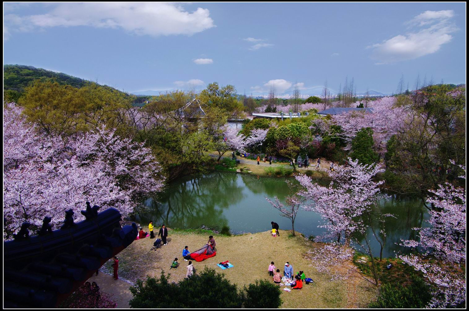 2023樱花谷游玩攻略,算是江浙看樱花很好的景点了...【去哪儿攻略】