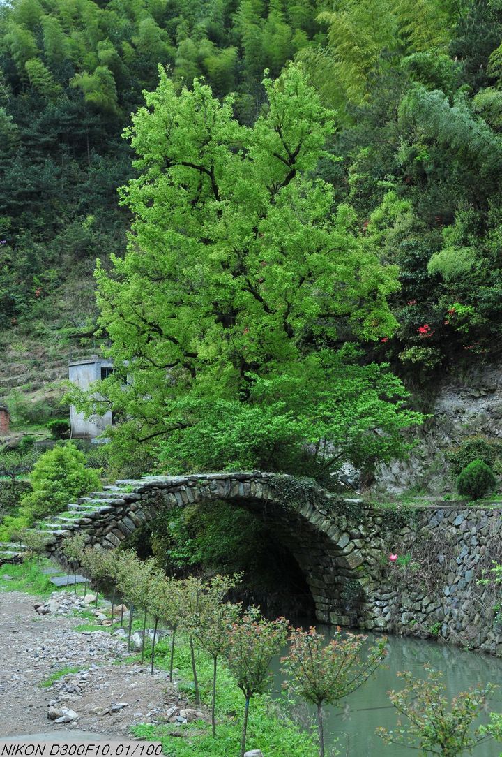 岩下石头村