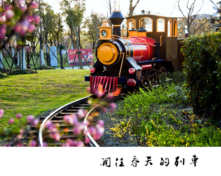 【开往春天的列车摄影图片】上海顾村公园纪实