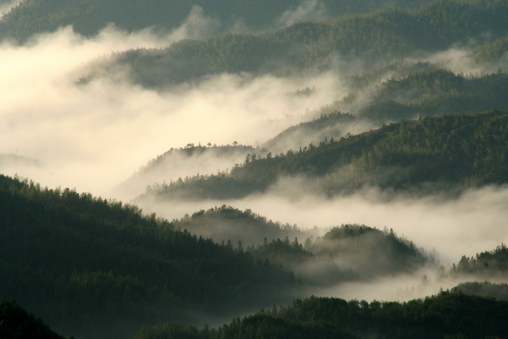 云滨深山我依岸