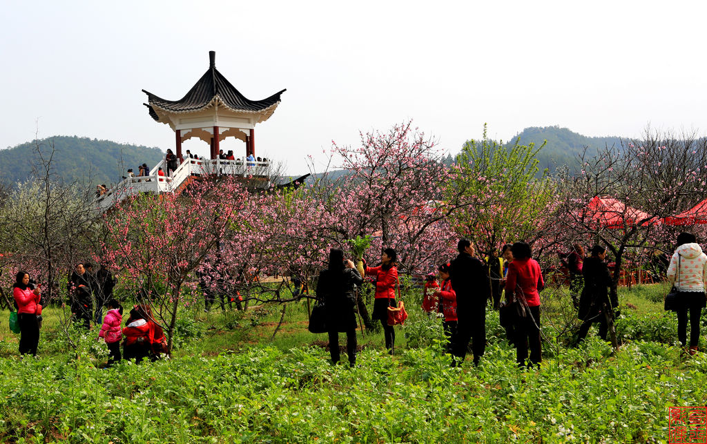 春游桃花岛