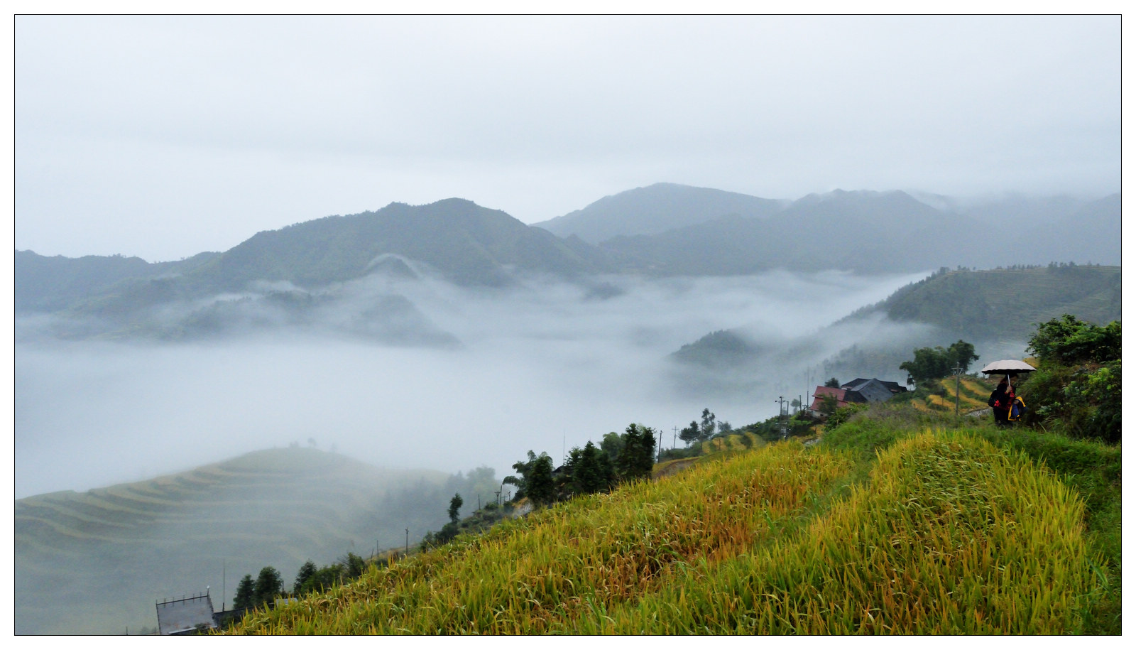 山背梯田