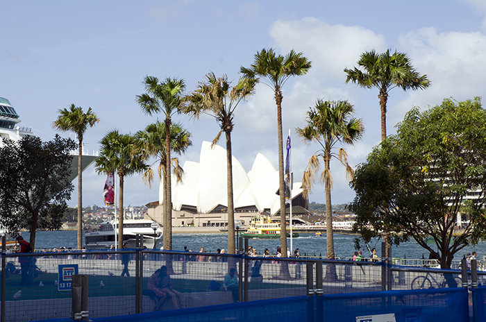 【悉尼歌剧院摄影图片】澳大利亚悉尼市风光摄