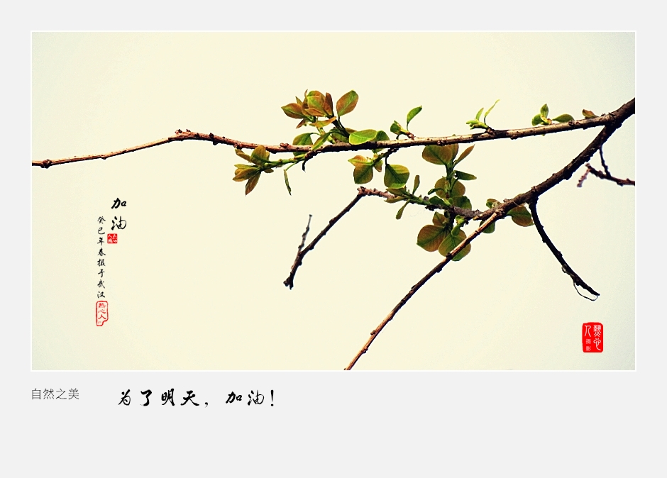 为了明天,加油!