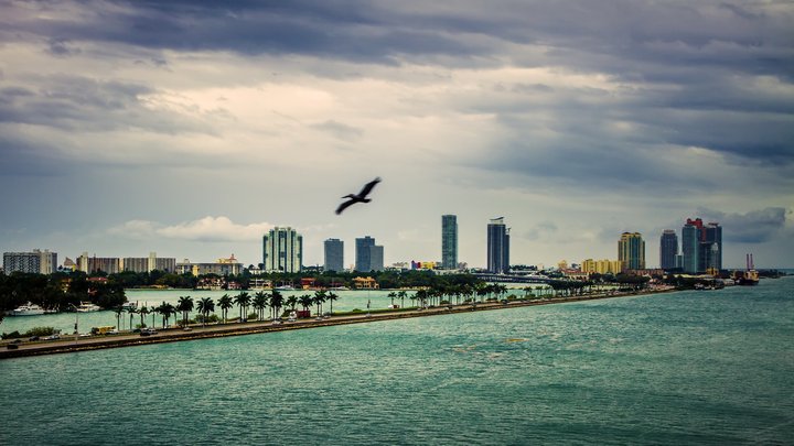 【海滨城市迈阿密摄影图片】美国风光摄影