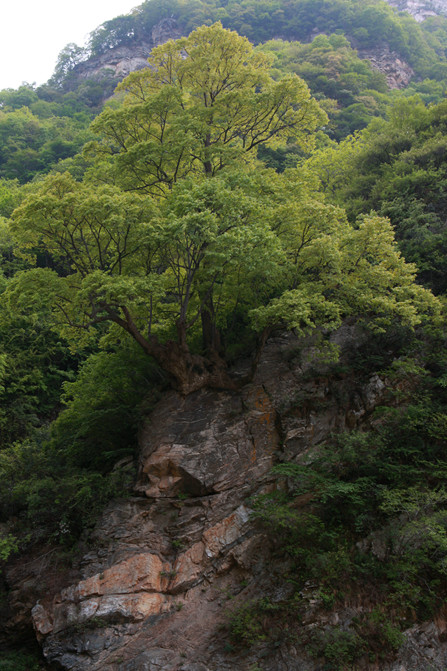 大峪口(西安郊外-山,水,石