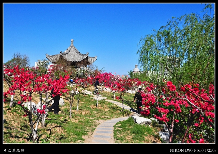 长虹公园桃花生态园