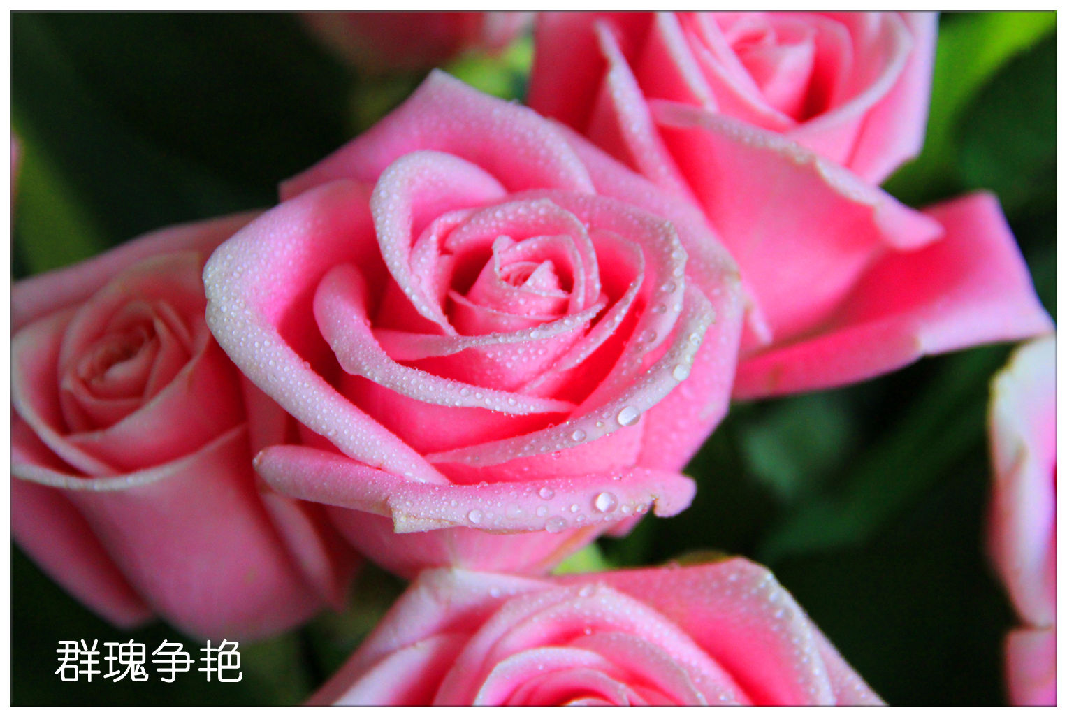 《送你一朵小红花》：我们心中的爱与怕_新浪财经_新浪网