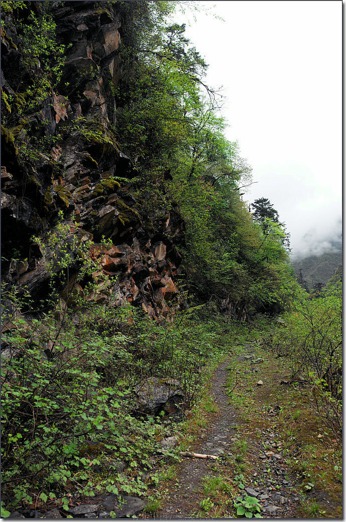 黑竹沟的废弃公路