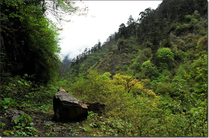 黑竹沟的废弃公路