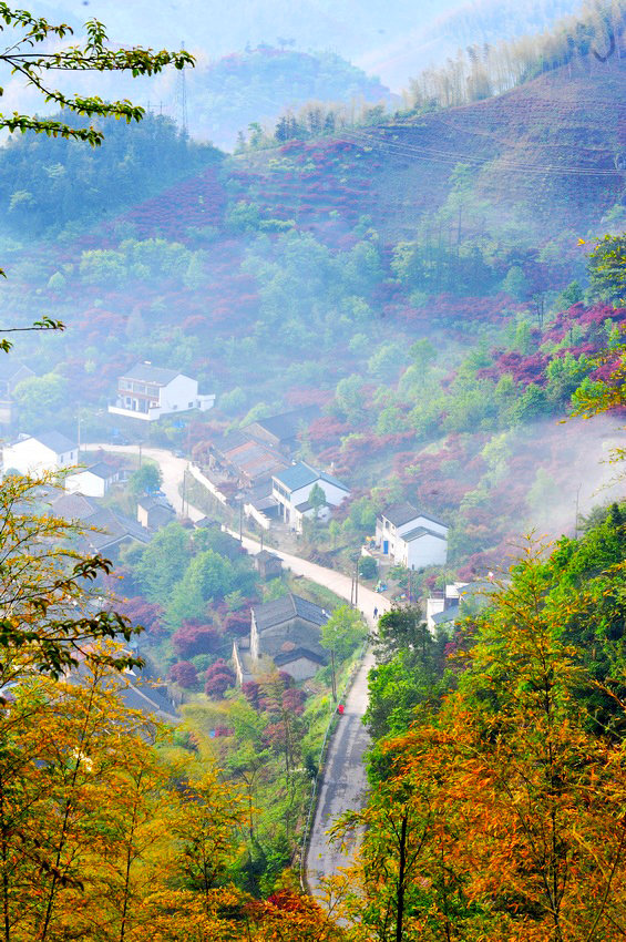 山村晨景