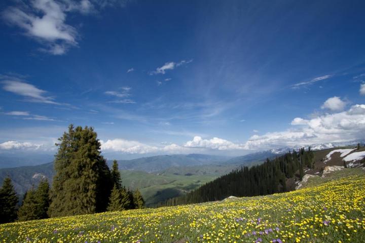 梦回天山