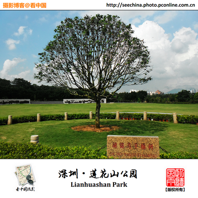 广东.深圳.莲花山公园(下)